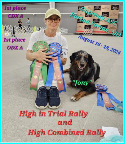 Obedience and Rally
